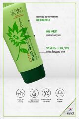 Green Tea Içeren Yatıştırıcı Leke Ve Akne Karşıtı Spf50 Yeşil Çay Özlü Kore Güneş Koruyucu Krem